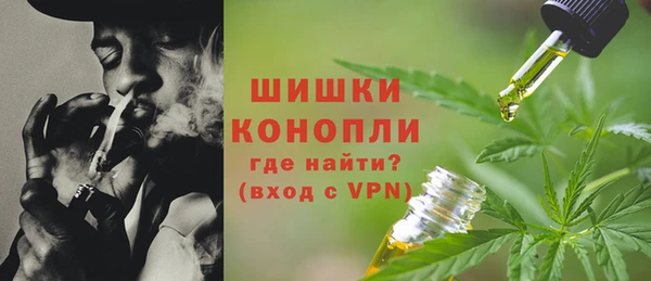 стаф Богородицк