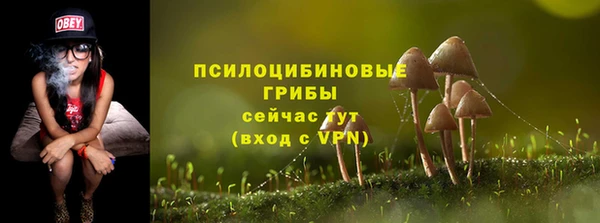 стаф Богородицк