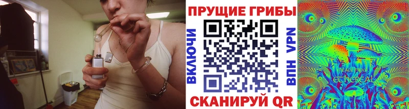 наркошоп  Иланский  Псилоцибиновые грибы прущие грибы 